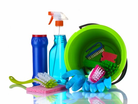 Professional carpet cleaning in a bright living room