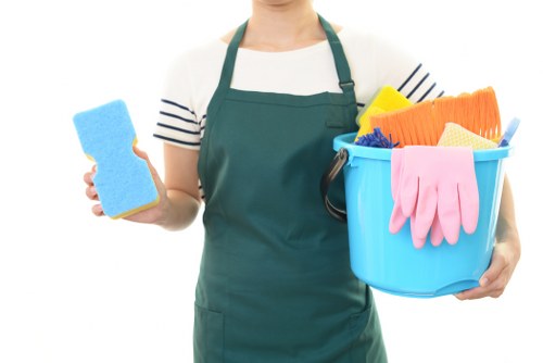 Professional domestic cleaning in a tidy living room