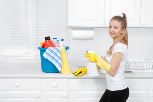 Professional Bromley cleaners providing a detailed home cleaning service