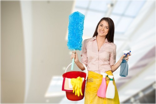 Deep domestic cleaning tools prepared for home care
