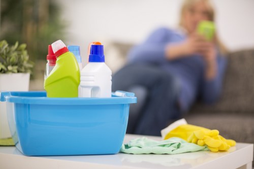 Kitchen domestic cleaning with organized supplies
