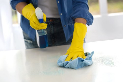 Bathroom deep cleaning with scrubbing and sanitizing details